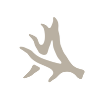Allagash Antlers