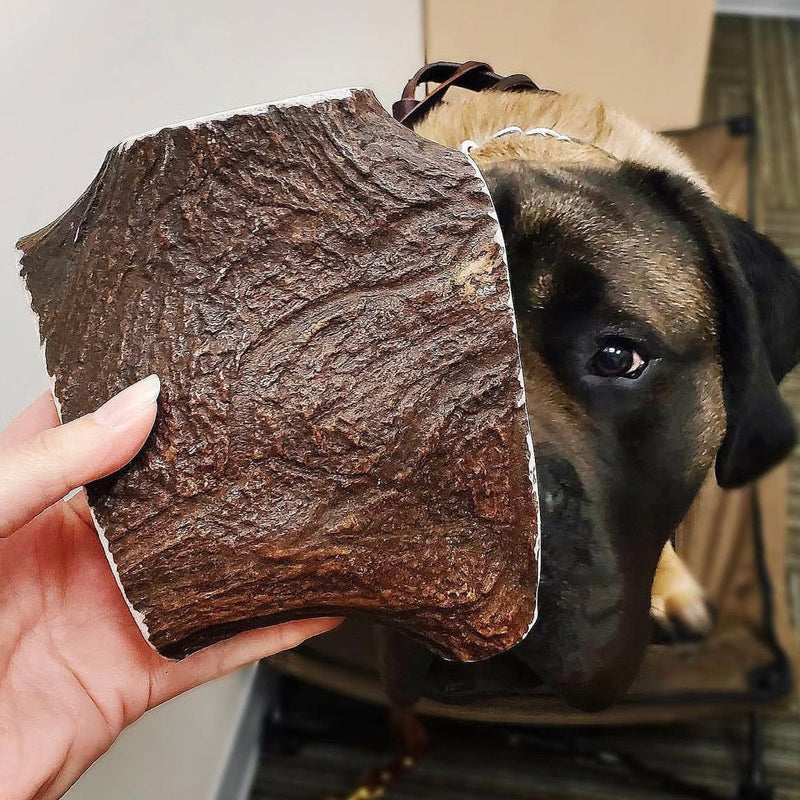 Do Moose Antler Dog Chews Smell?