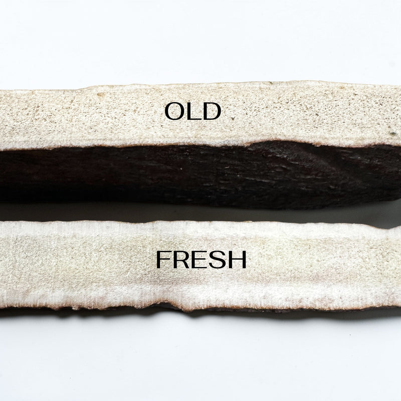 How to Tell the Difference Between High-Quality and Low-Quality Moose Antler Dog Chews