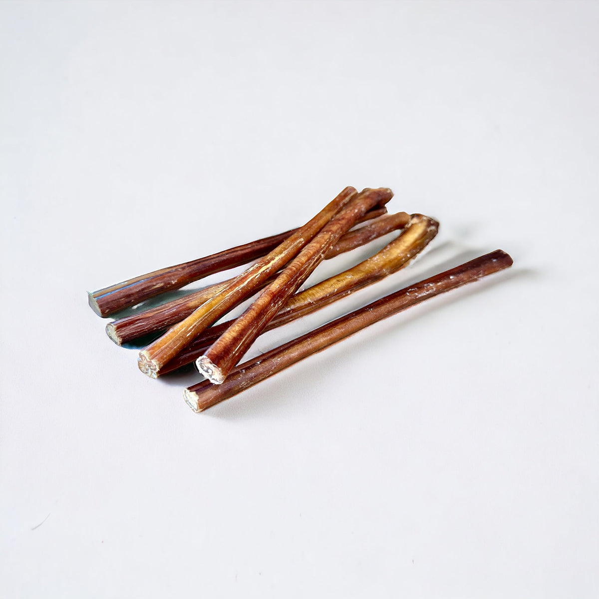12 Inch Standard Bully Sticks – Allagash Antlers