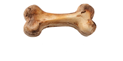 dog bone
