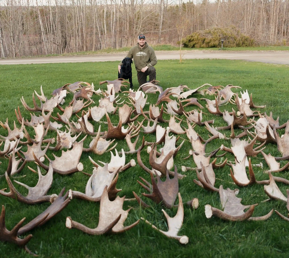 man and dog with large pile of moose antler dog chews outdoor setting
