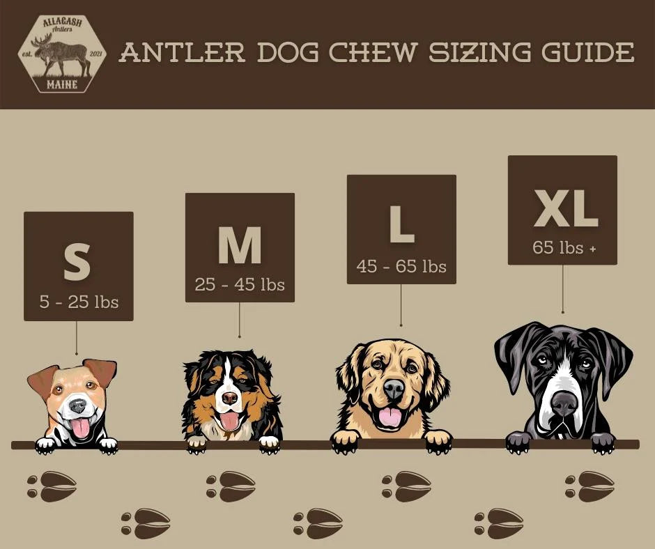 Moose Antler Chew Sizing Guide