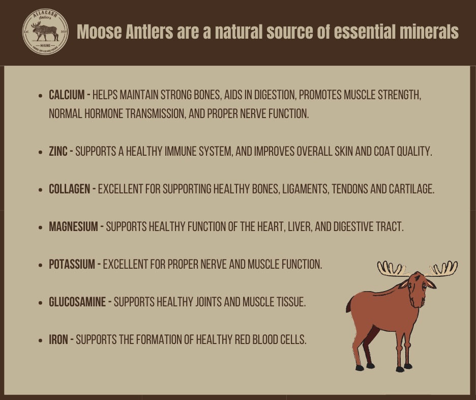 Moose Antler Chew Nutrients